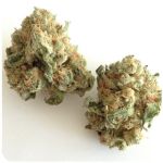 Шишки "White Widow"  (Белая вдова)  Гидропоника -  Бошка VHQ в Сертолово