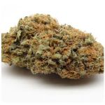 Шишки AK47 (Гидропоника, Бошка) VHQ в Сертолово Шишки AK47 (Гидропоника, Бошка) VHQ в Сертолово